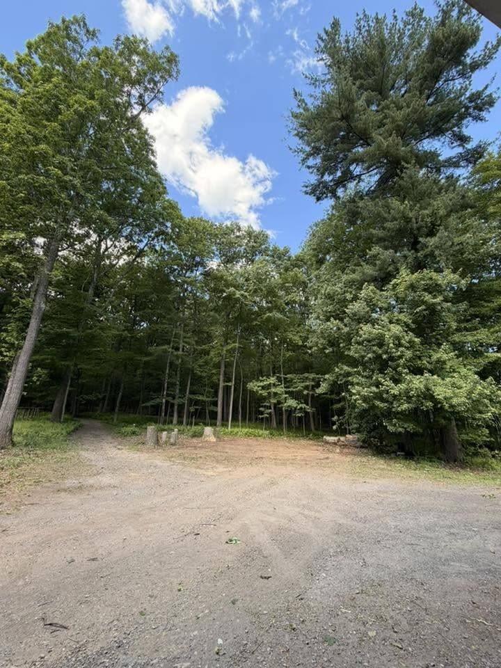 Pennsylvania forest at a Gouger's Tree Care job site