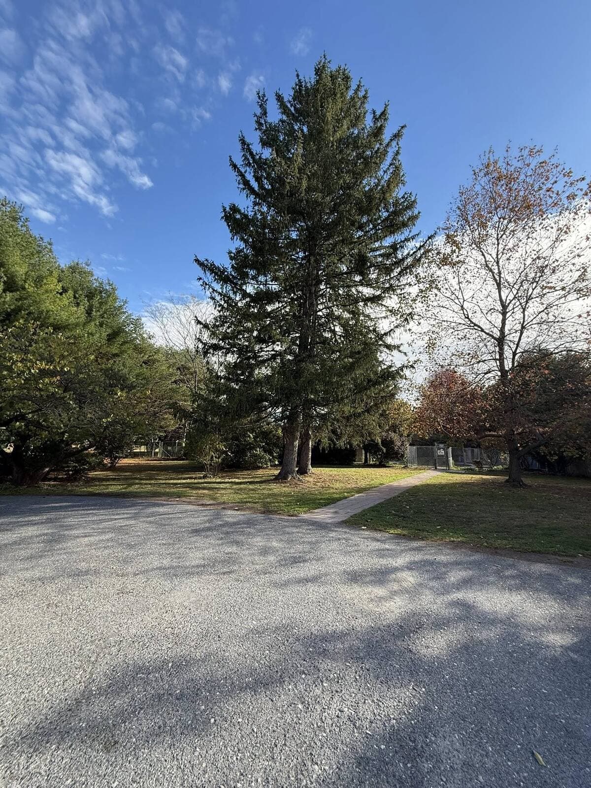 Spruce removal — drag to compare — before